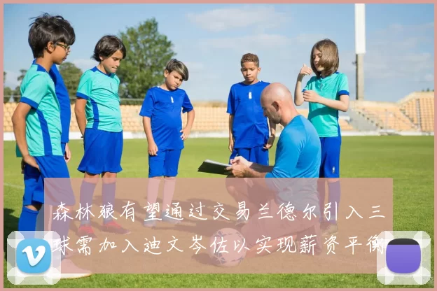 森林狼有望通过交易兰德尔引入三球需加入迪文岑佐以实现薪资平衡